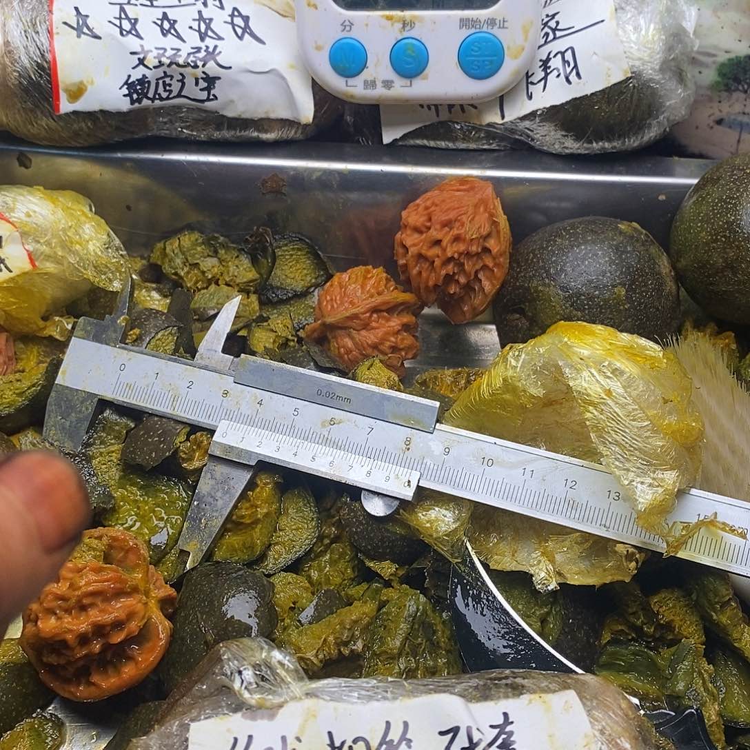 0***3感觉你奶奶即可男男女女