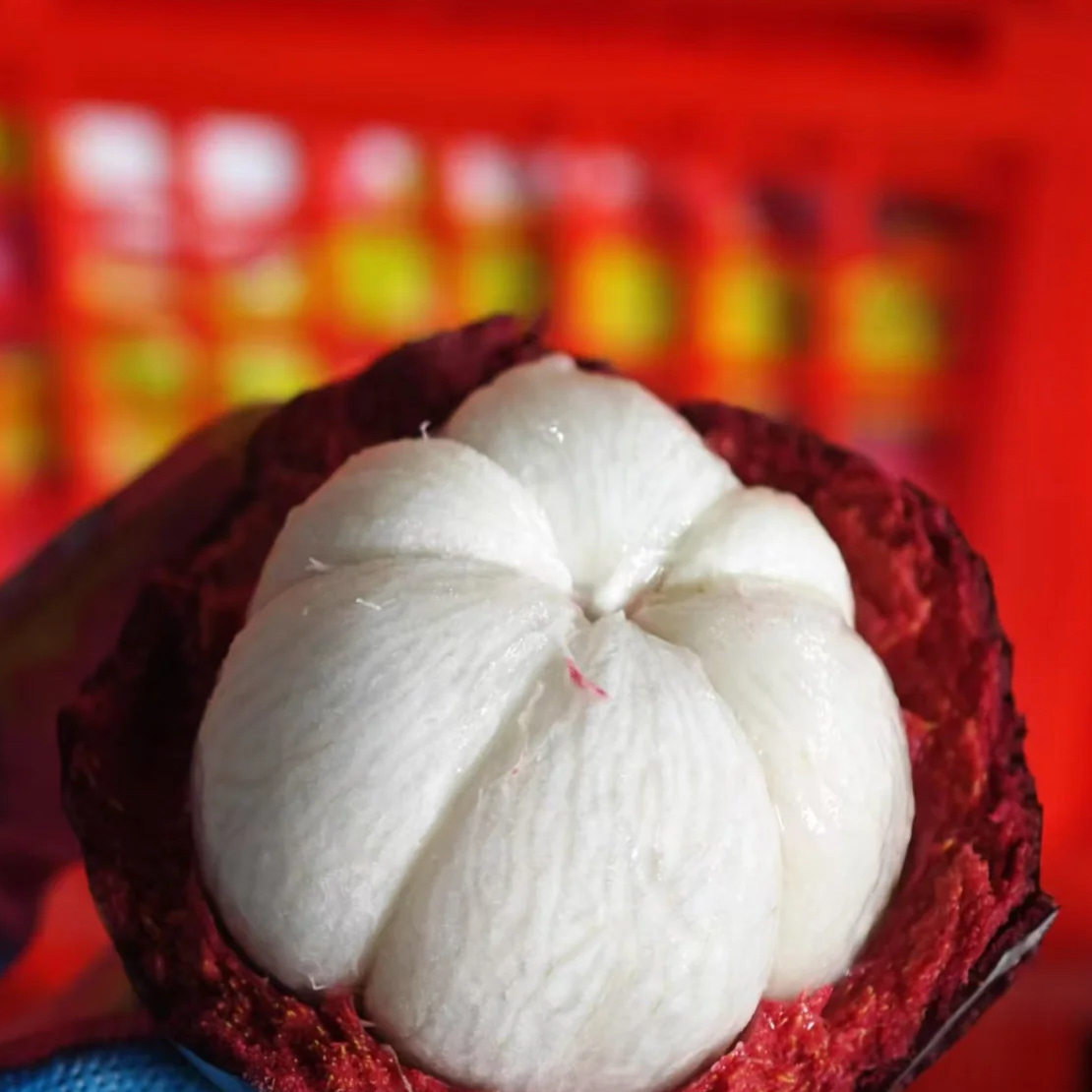 泰国进口新鲜4A山竹老树麻竹4斤应季热带水果饱满清甜孕妇水果白嫩多汁