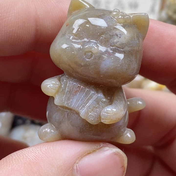 颈饰未镶嵌硅化珊瑚（珊瑚玉）