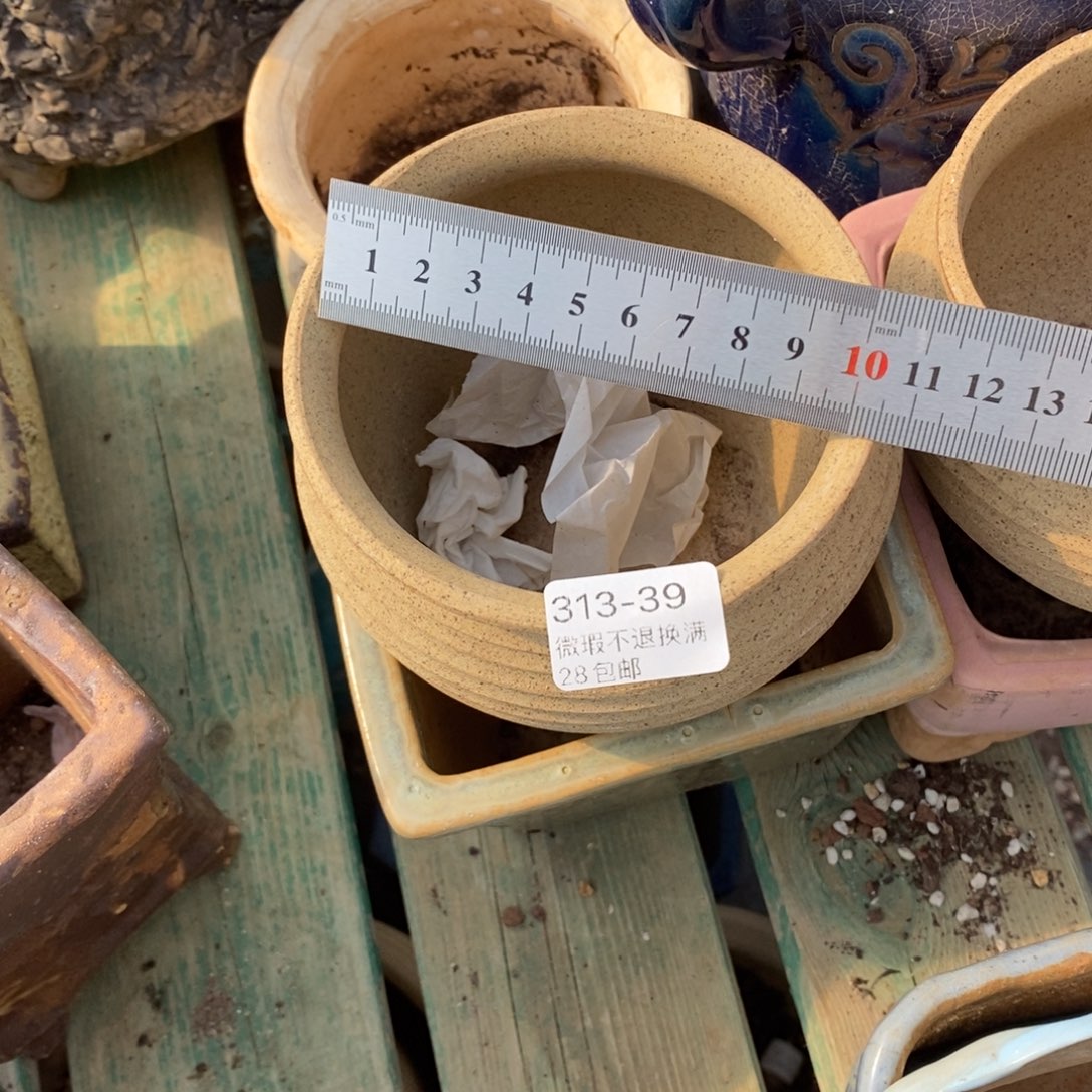 39号多肉盆一个呀