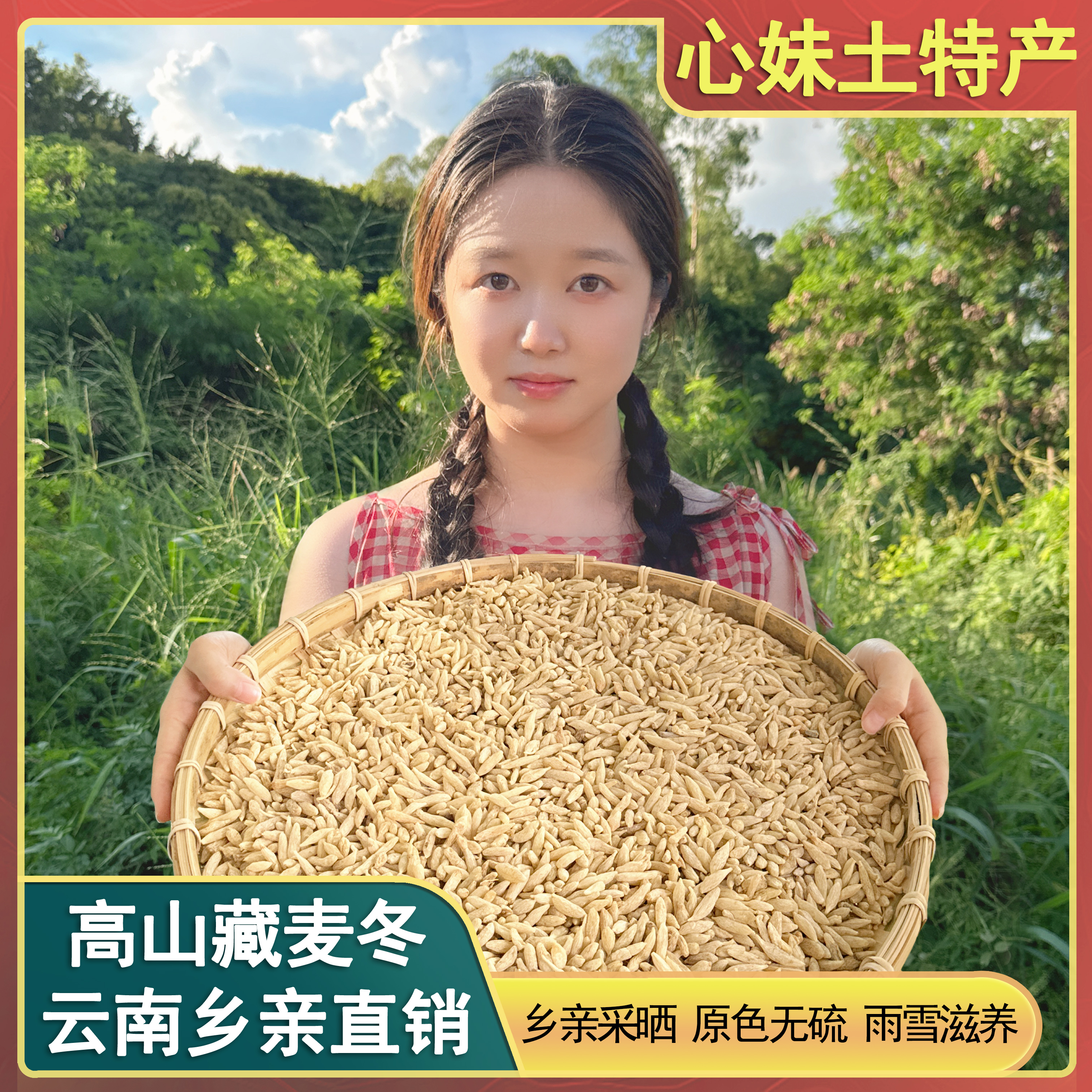 心妹土特产 藏麦冬 农家土特产