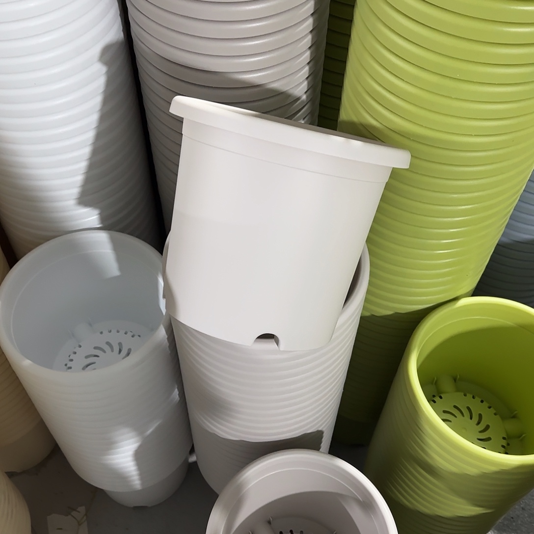 微瑕1号10个无托，灰白