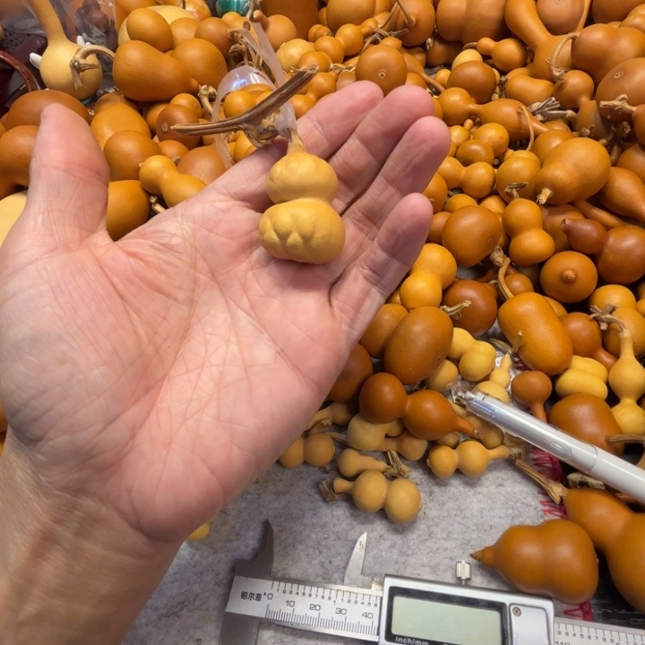 橘*?蒟蒻的一把菠萝蜜炒李金葫芦