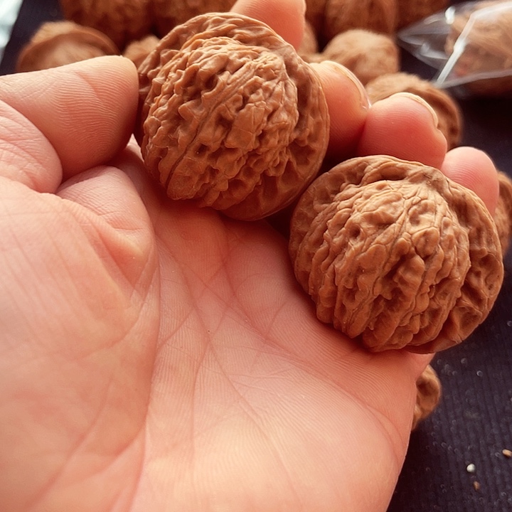 文玩核桃吊坠鲨*文玩