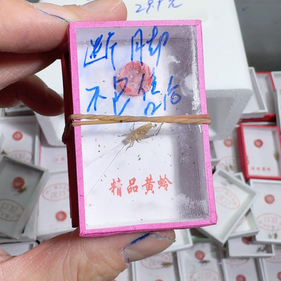 断脚大黄蛉 你的手机怎么关机