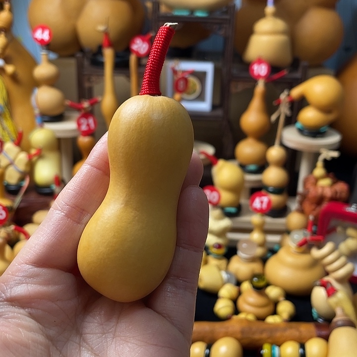 ****酷葫芦丝和音乐也可以
