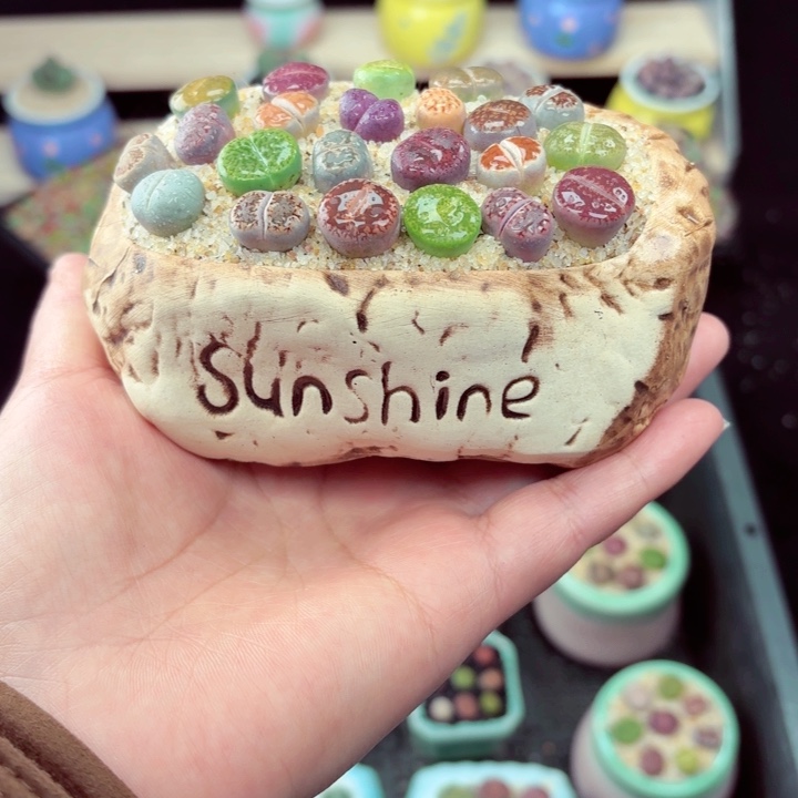 515零下地区记得拍保温箱