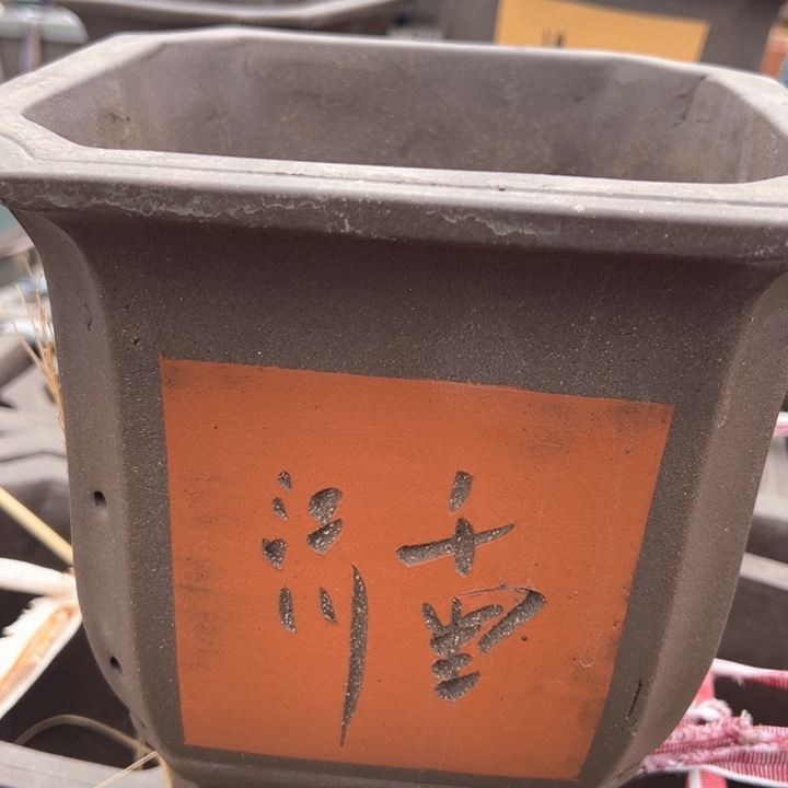 红陶紫砂四方高23口23