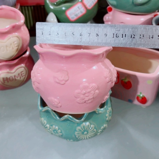 红陶11111111111111111