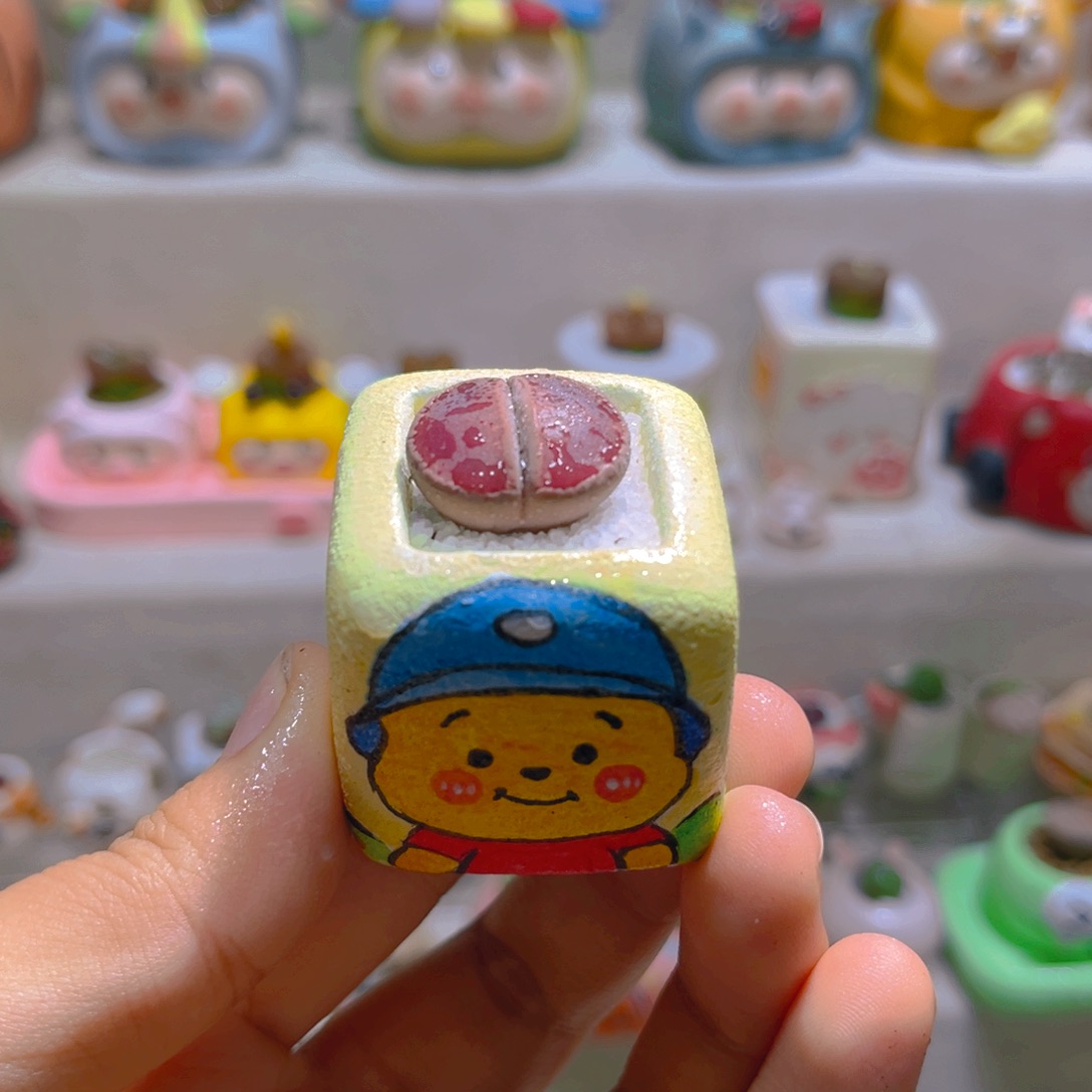 0039高端多肉带盆土一套26