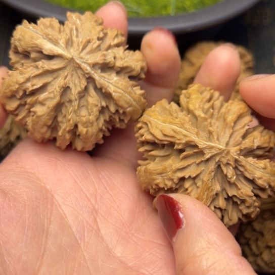 文玩核桃把件秦岭核桃15