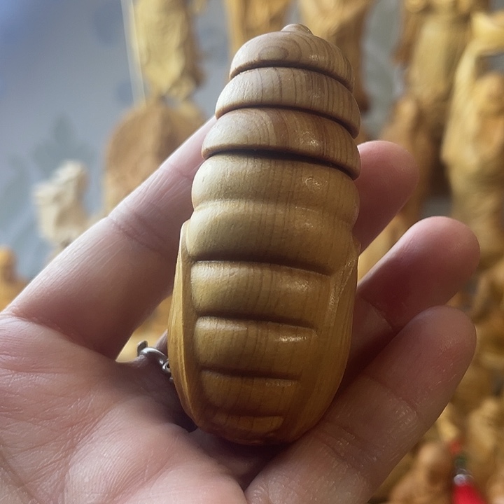 柏木（崖柏）崖柏蝉蛹