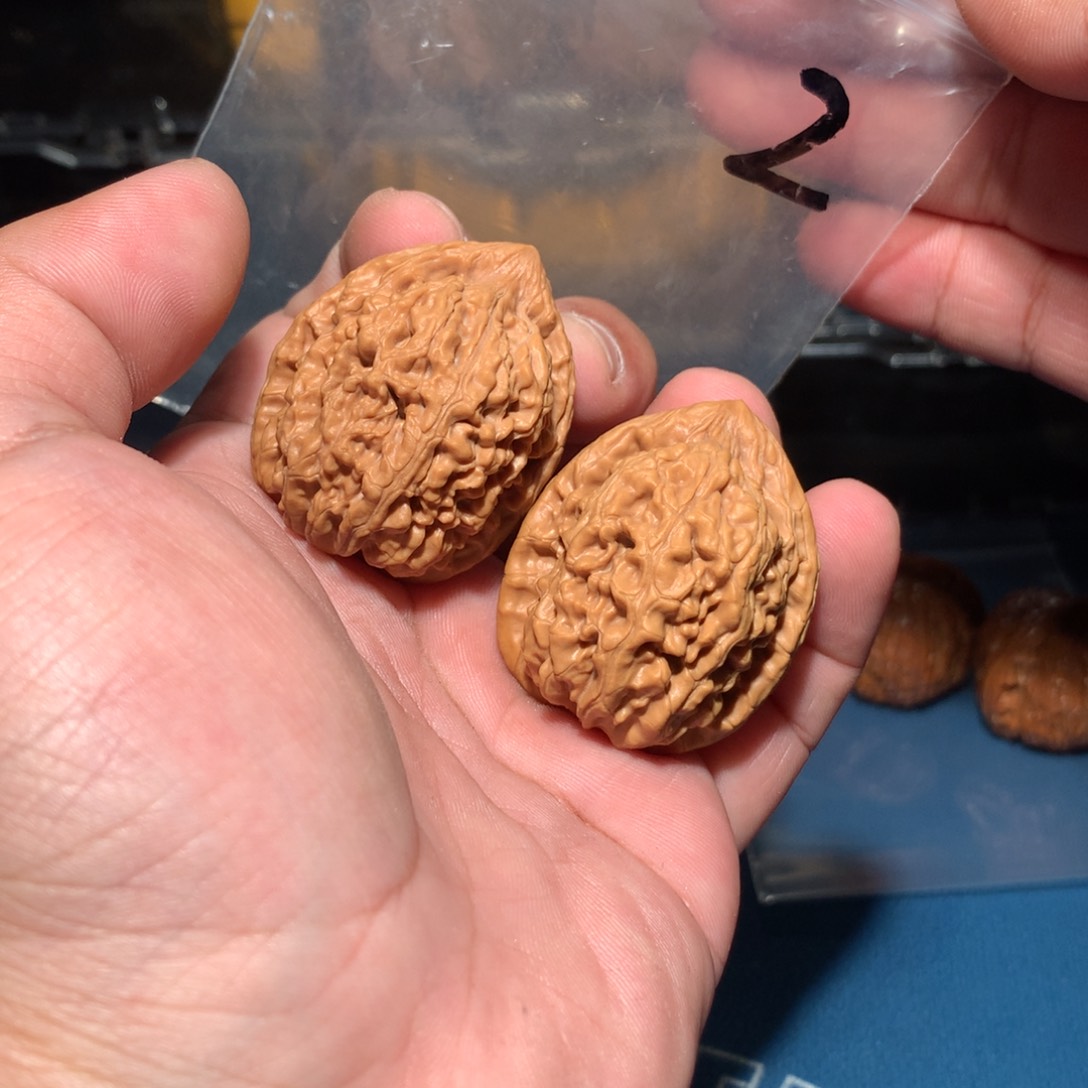 文玩核桃吊坠蚂蚁王 2 