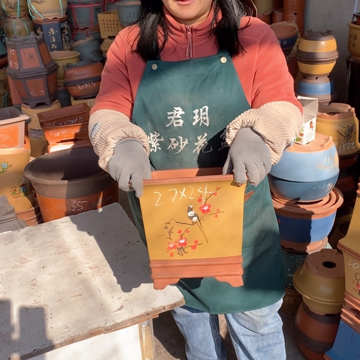 紫砂花盆盆栽花卉苗木种植