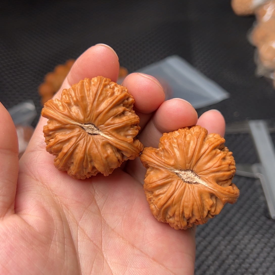 文玩核桃把件43白狮子