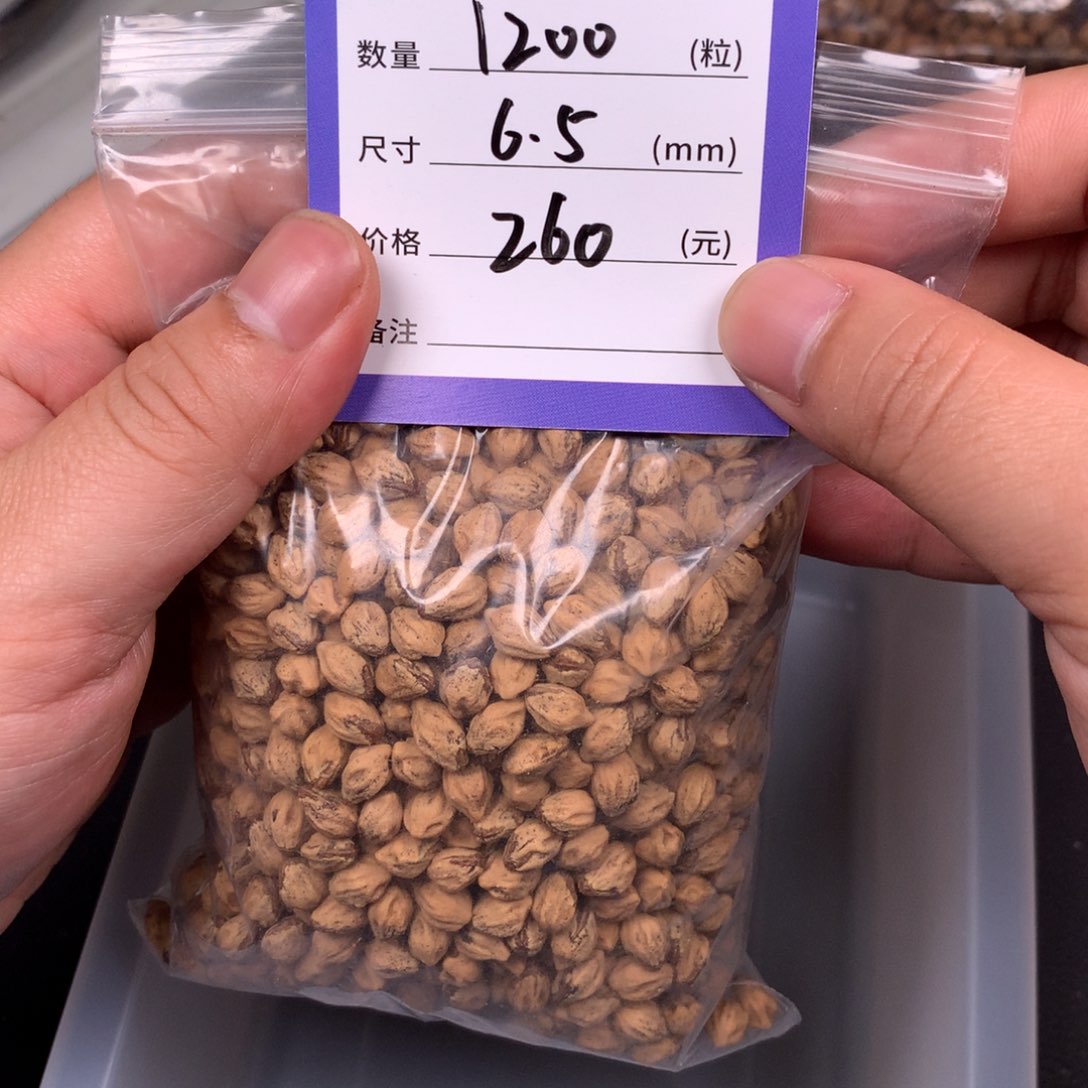 柏香籽/百香籽吊坠