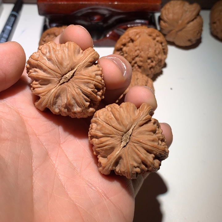 把件文玩核桃解***.白狮子