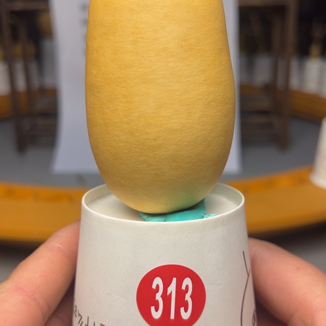 闪电购自助下单编号313