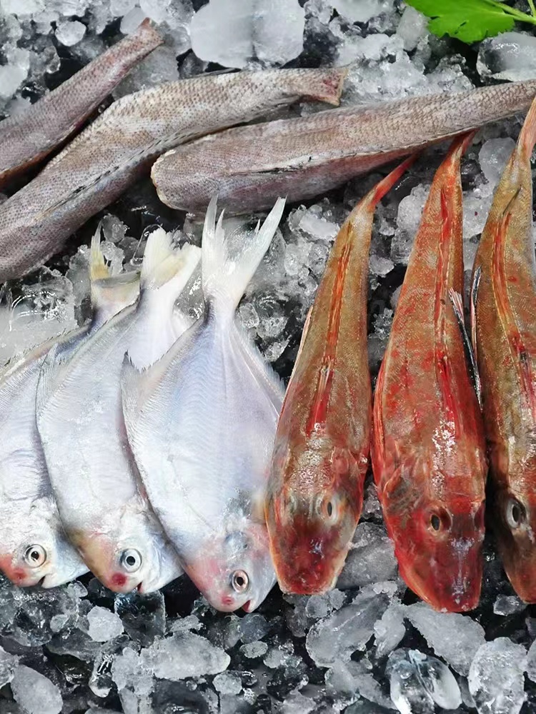 《松门三姐》台州东海新鲜杂鱼代拍链接