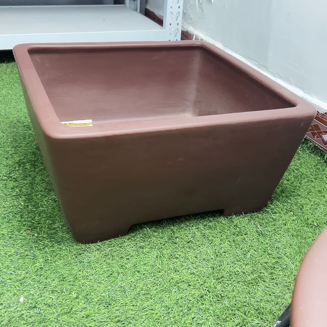 至***善花盆紫砂福利盆一只