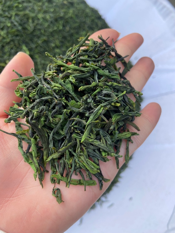 （口感稍浓）2025新茶4.14号土树种手工六安瓜片核心产区