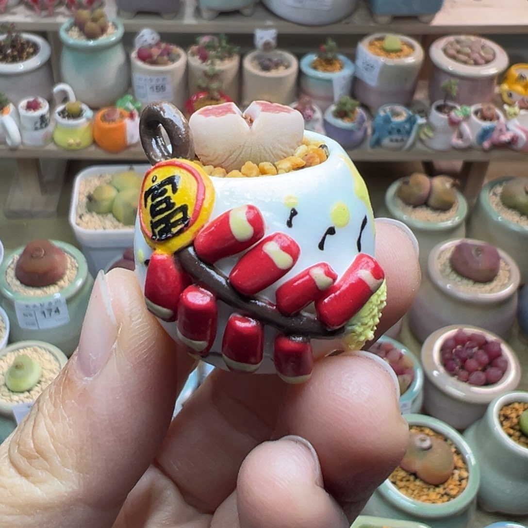 多肉植物179号拇指盆