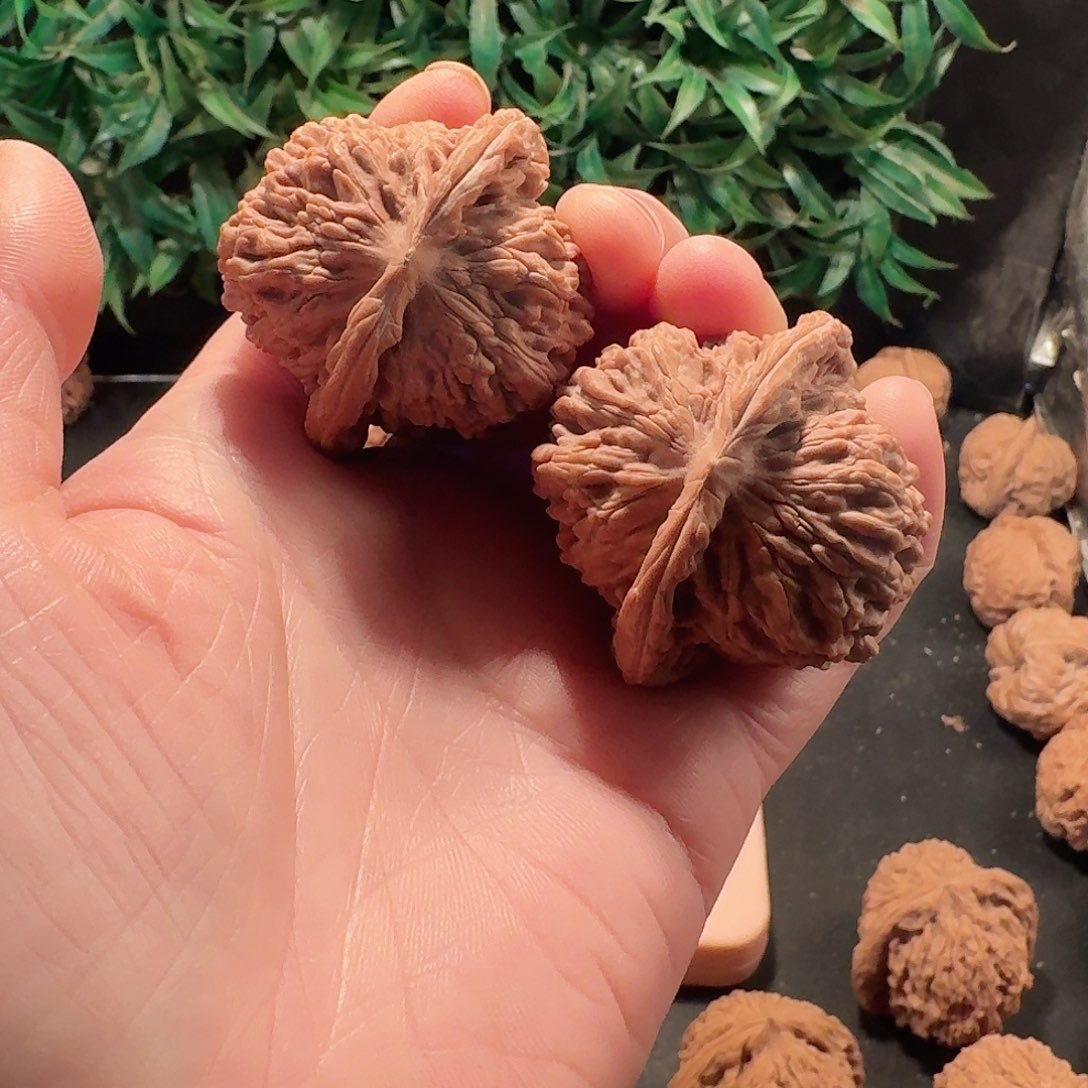 Y****.全品四座楼狮子头44