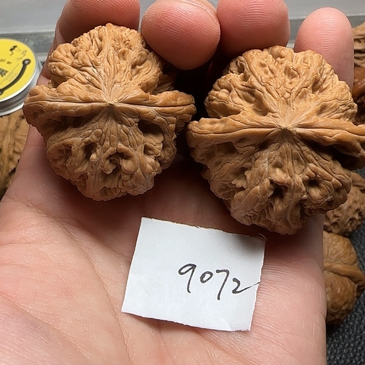 小***豹把件文玩核桃9072大粗筋41尺