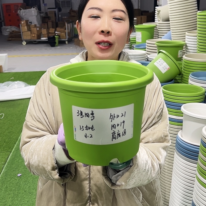 特价3号四季口21高18果绿10只无托