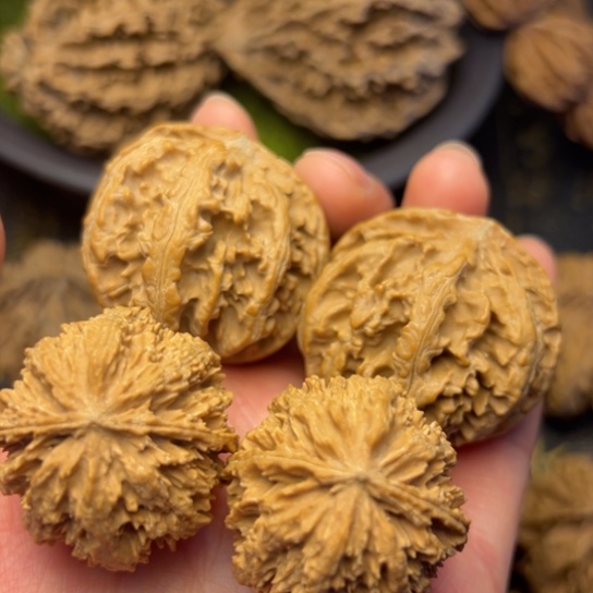 文玩核桃吊坠秦岭核桃18