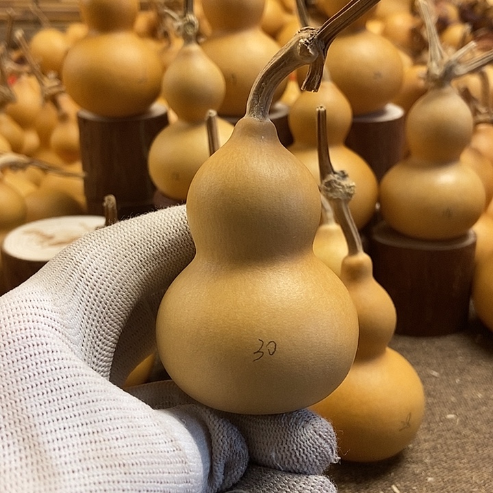 文玩葫芦 完美主义者 慎拍30