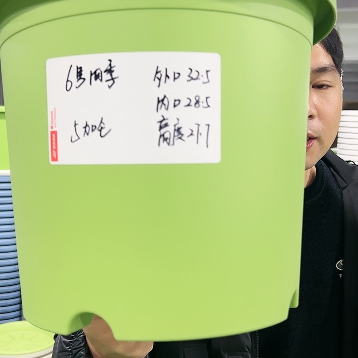 特价6号四季口32高28白色4个无托