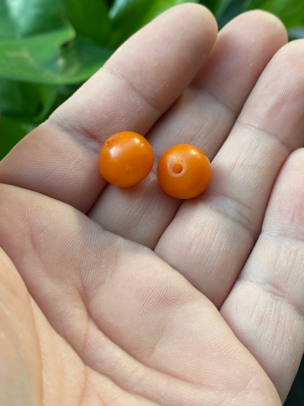 纯天然正宗老蜜蜡鼓珠蜜蜡散珠蜜蜡隔珠蜜蜡老型珠尺寸：蜜蜡珠子