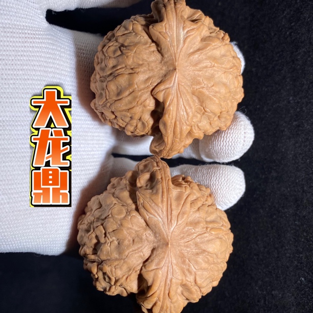 大龙鼎 文玩核桃霸气十足的一款 棱粗肉厚 双龙聚首 寓意深远
