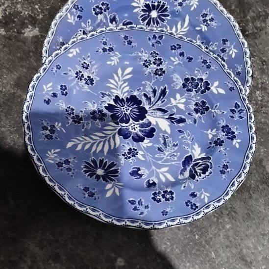 收***婆瓷陶瓷盘子口尽22里米两个