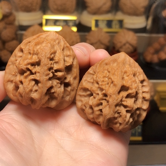 精品：野生梨木台