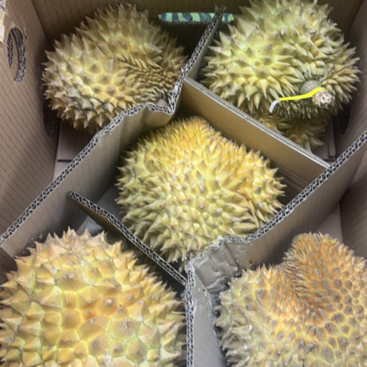 新鲜金枕榴莲核小果肉黄整箱批发毛重17斤左右金枕越南
