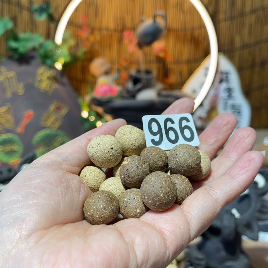 木村信弘柴烧保平