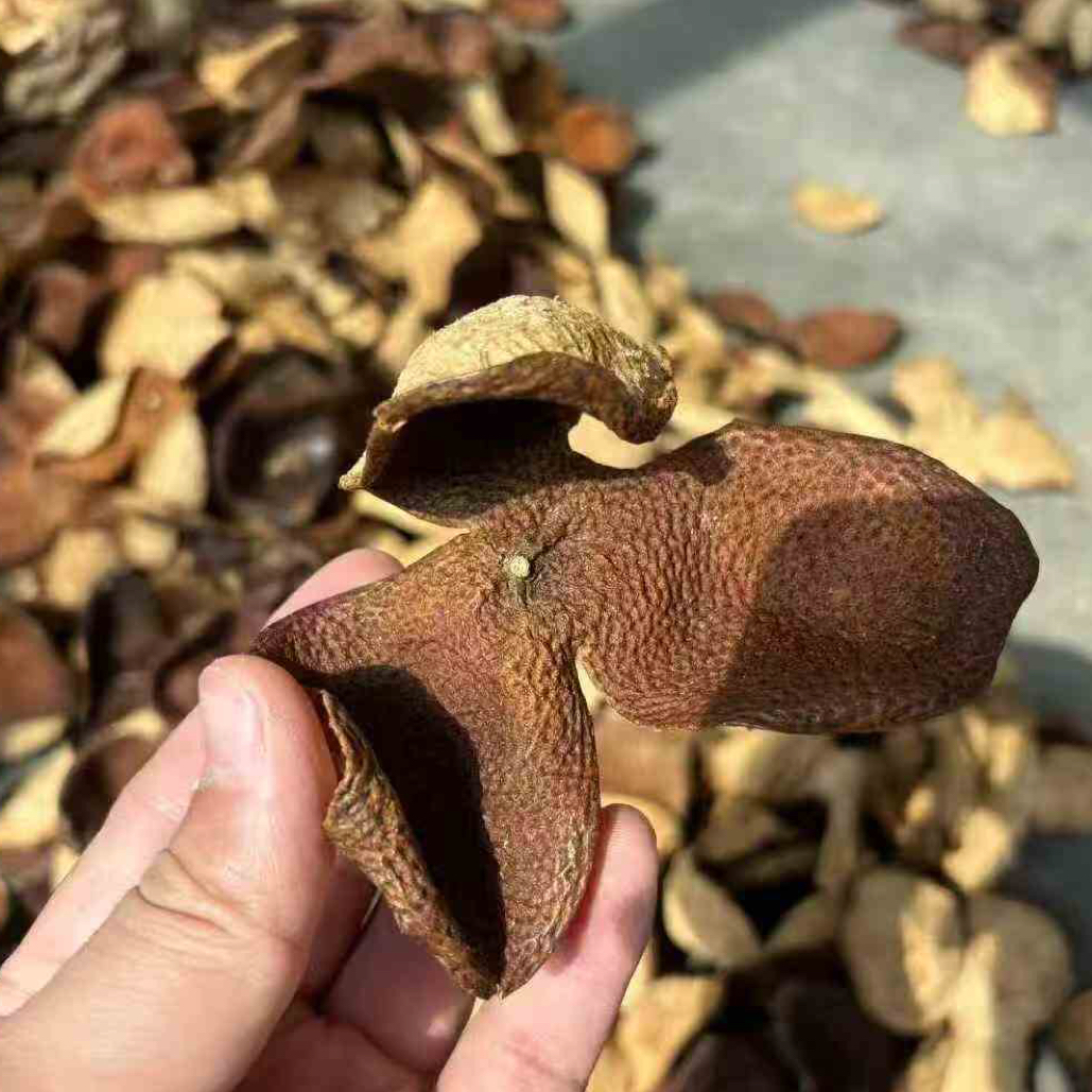 《冬后陈皮》特惠好物分享