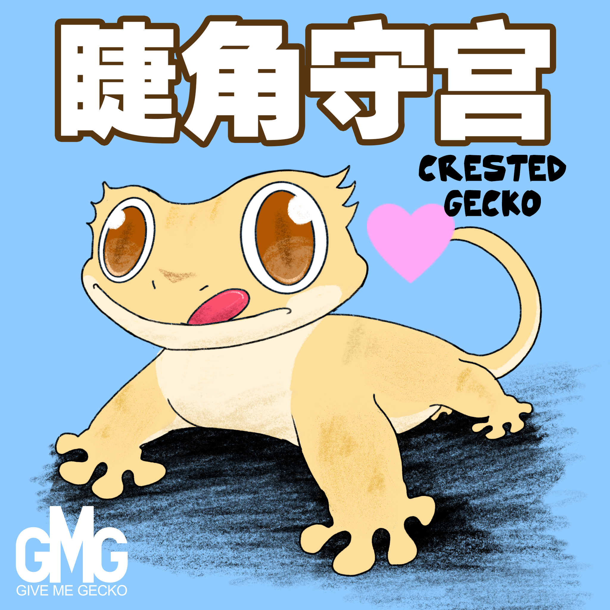 【GMG给我爬】睫角守宫爬宠 活体 可爱 好饲养