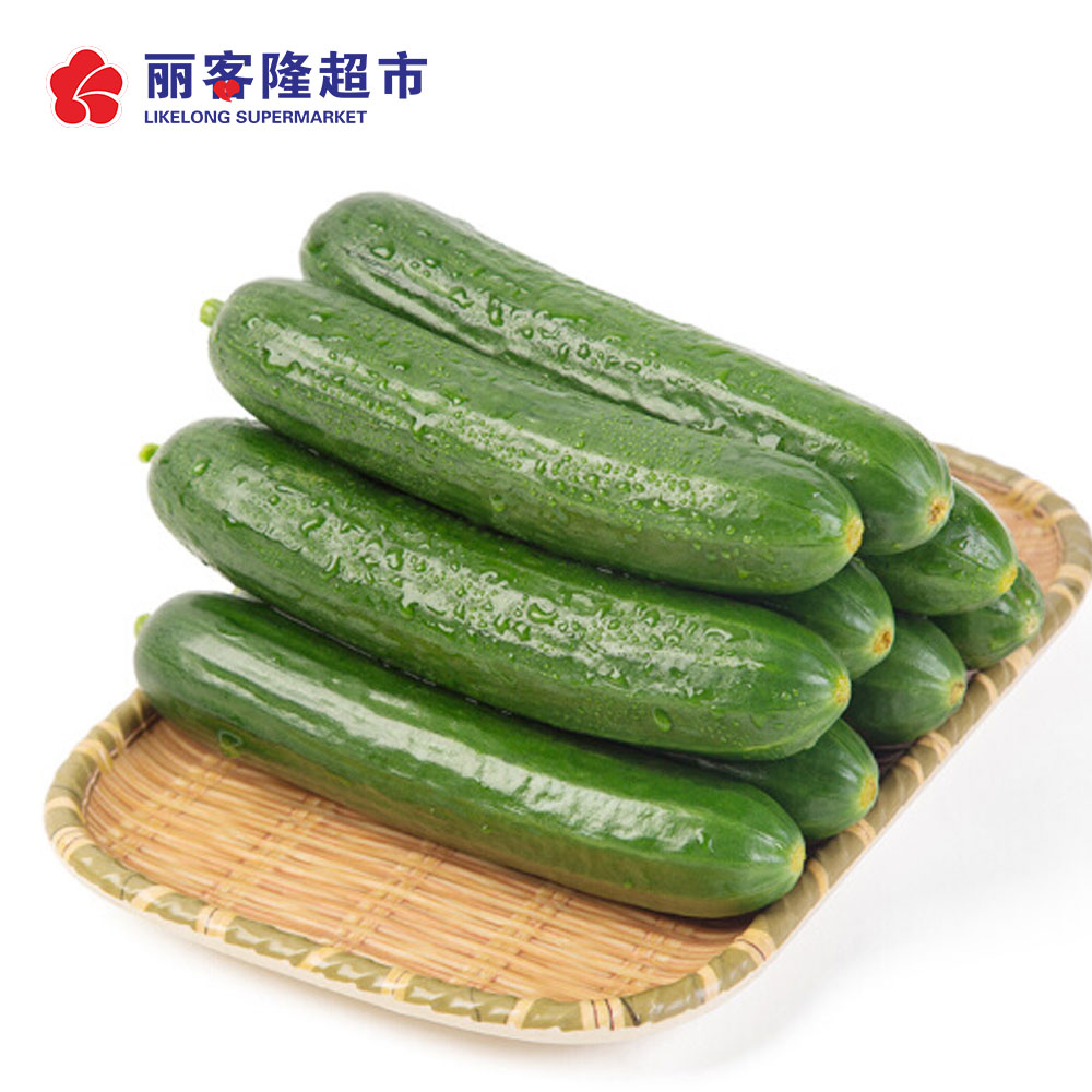 生态黄瓜500g