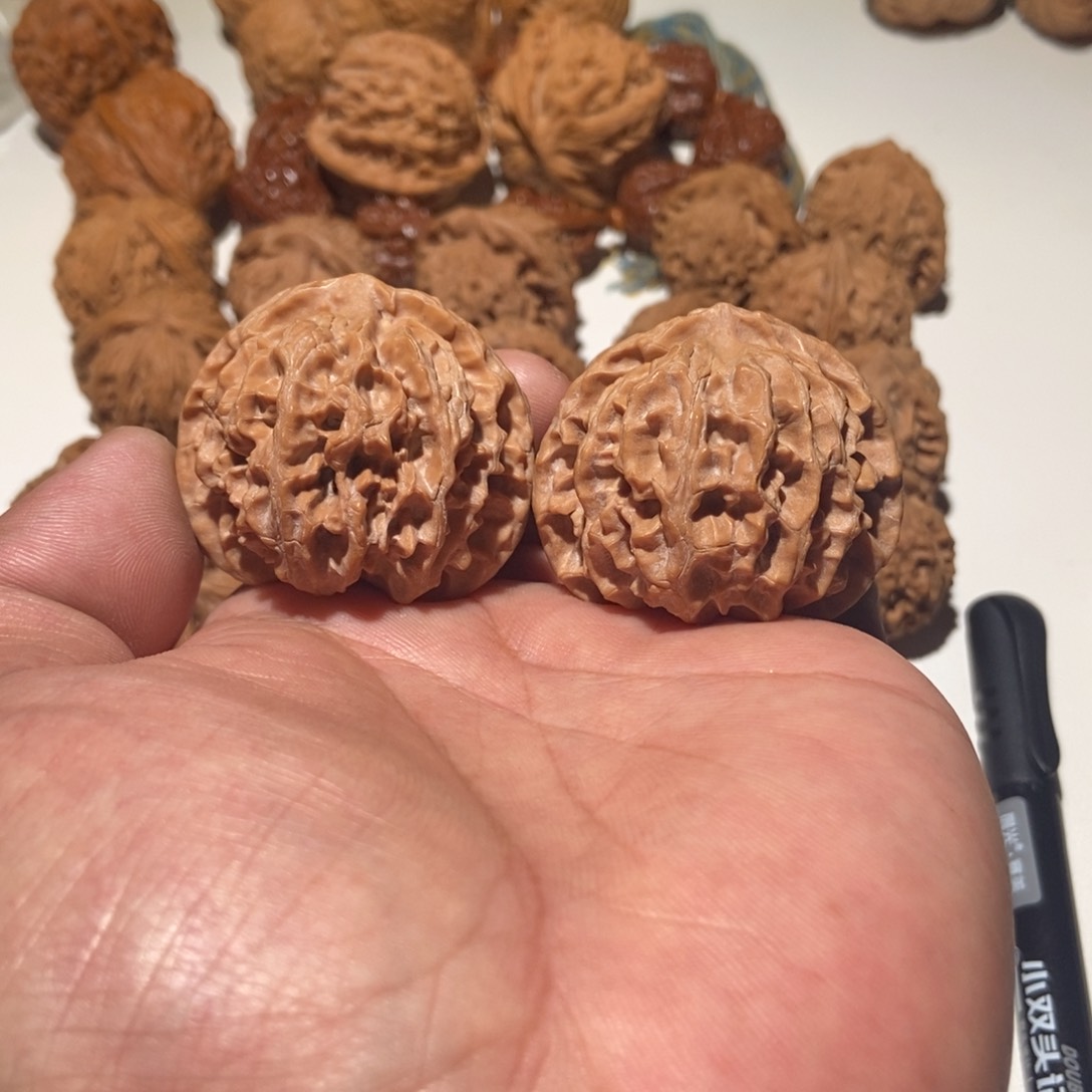 核桃苹果园狮子头42尺寸