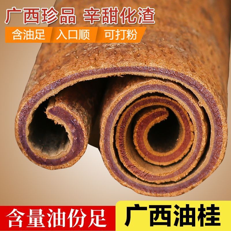 广西十万大山老品种紫油桂高山老深山油桂【直播间一物一拍】