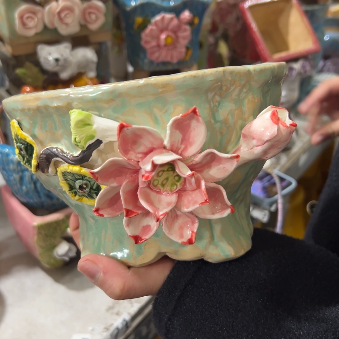 花盆，拍满20发货，退款拉黑