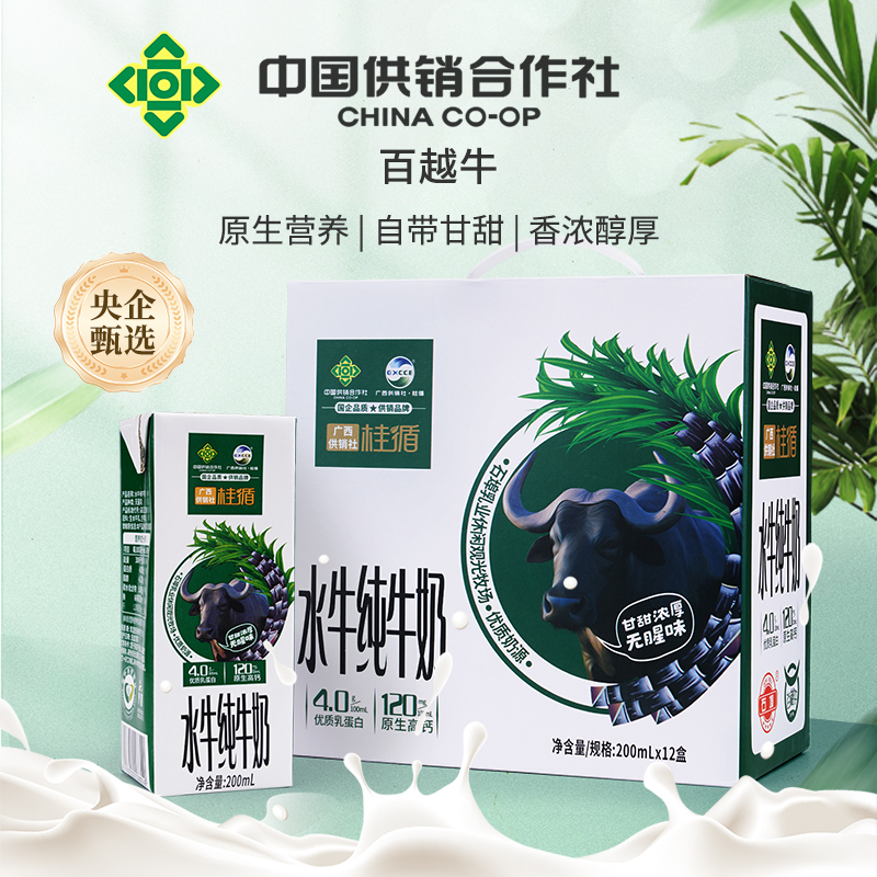 广西百越牛水牛纯牛奶宝宝孕妈妈营养奶4.0g/100ml优质乳蛋白