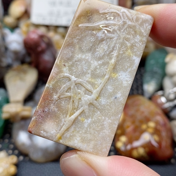 硅化珊瑚（珊瑚玉）颈饰未镶嵌