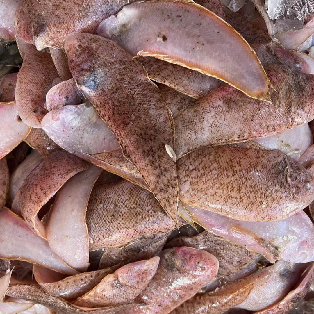 广东惠来神泉港内脚厚肉小龙舌鱼1斤26-28条左右，先煎外酥里嫩，小朋友最爱。海鲜