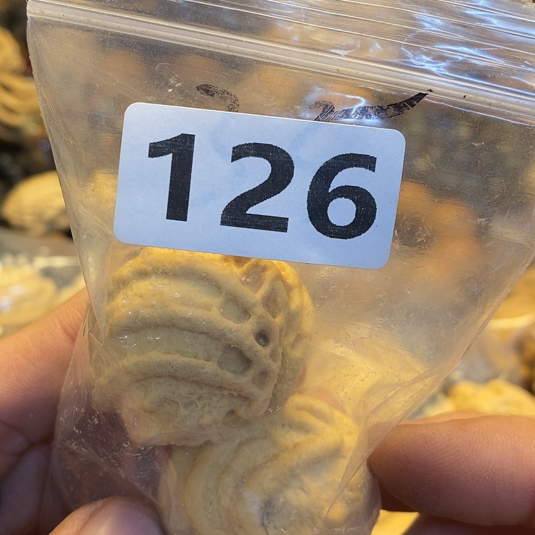 吊坠橄榄核X****i