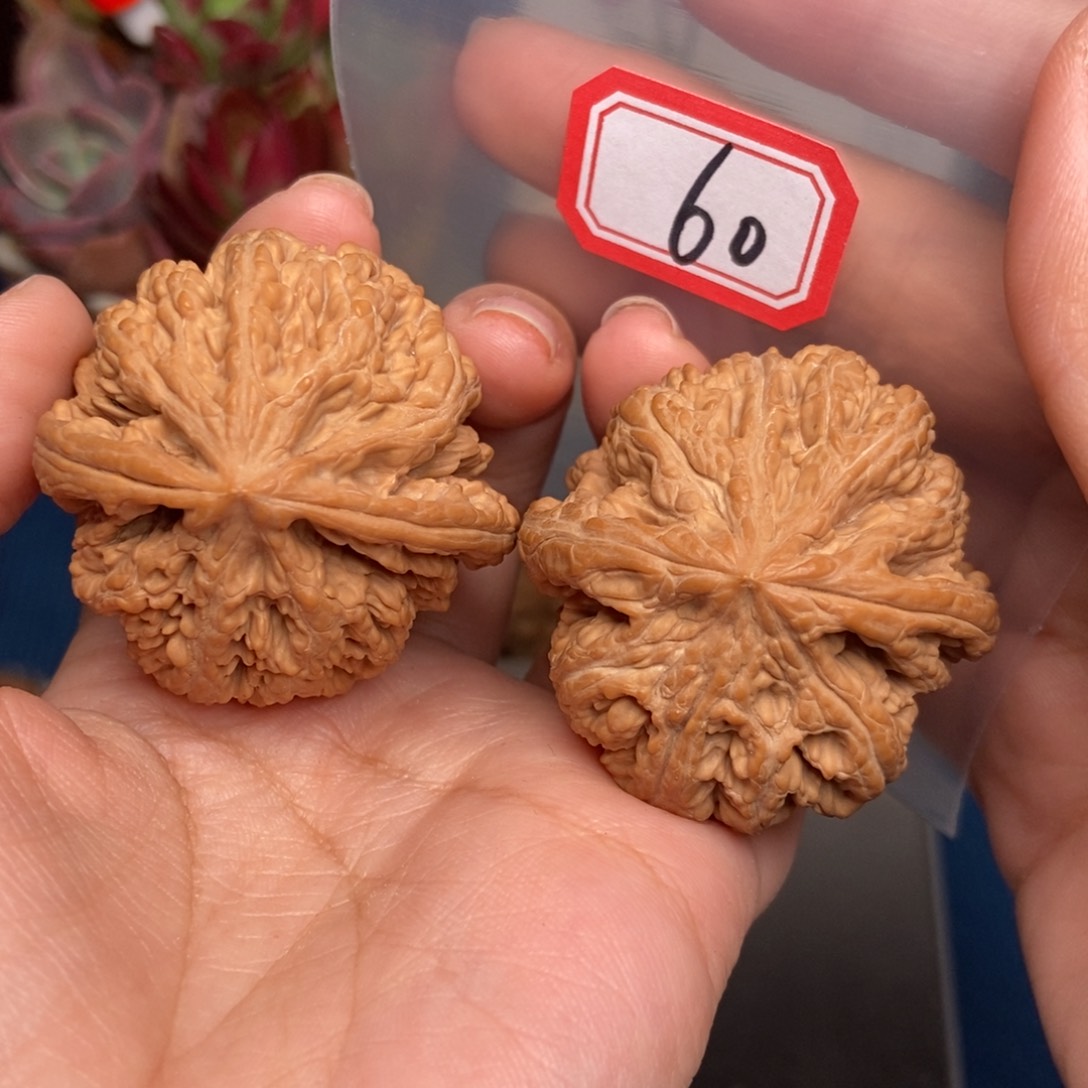 文玩核桃吊坠60号 大粗筋