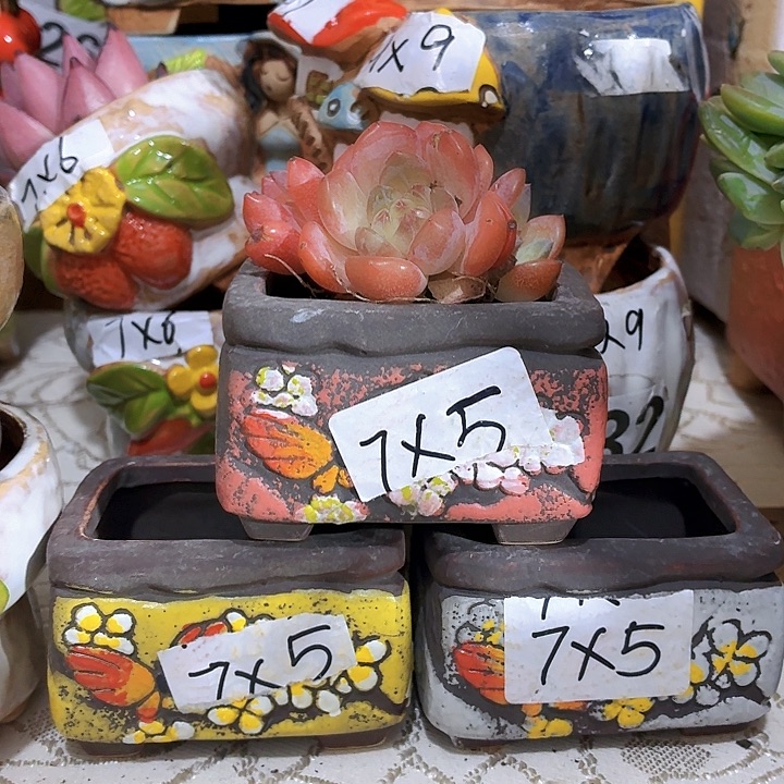 多肉花盆，满15包邮